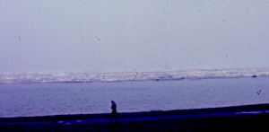 Ice Pack at Barrow, Alaska 1967