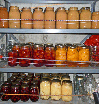 Shelves full of canned fruit