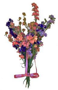 Larkspur Bouquet
