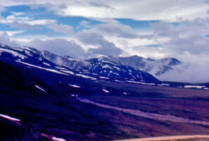 View from Eielson Visitor's Center at Mt McKinely Alaska 1967