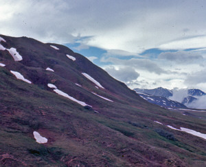 Mt McKinely National Park 1967