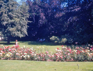 Rose Mary Schurr Butchart Gardens 1967
