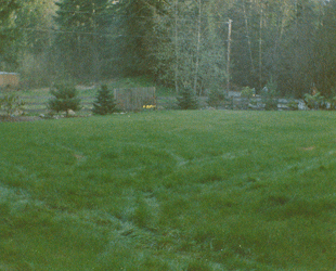 April 1987 view of the garden area to be