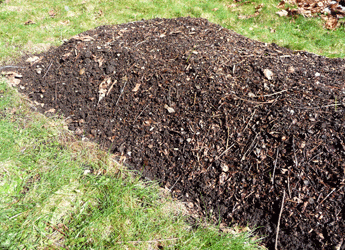 Cleared garden bed