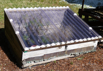 Cold frame