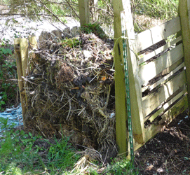 Compost Pile