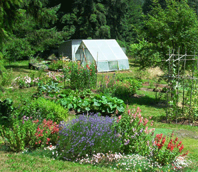 Greenhouse at the Garden at Winterhaven