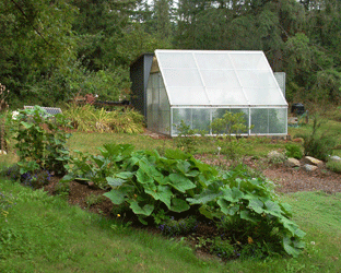 Greenhouse in the garden
