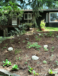 Hill on kitchen side of the house