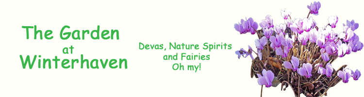 The Garden at Winterhaven Devas, Nature Spirits and Fairies Oh my!