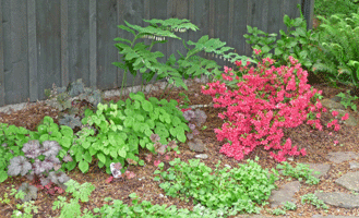 Shady bed at Winterhaven